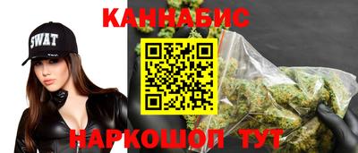 гидра Моздок